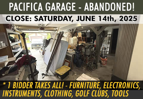 IMAGE : Auction Flyer