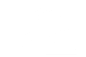 auctions icon