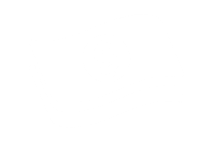 selling icon